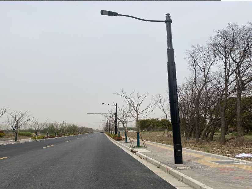 金平苗族瑶族傣族自治县上海综合杆 太阳能路灯工程